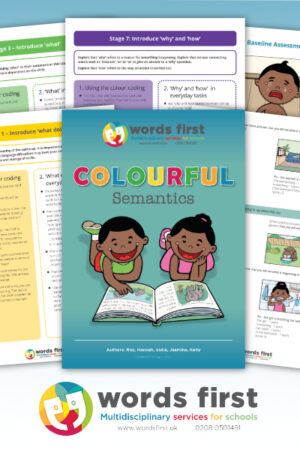Words First Colourful Semantics Programme