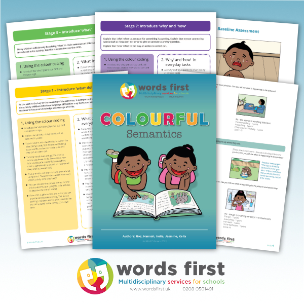 Words First Colourful Semantics Programme