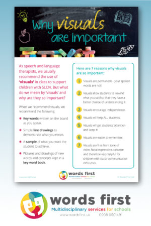 Why Visuals Are Important - Educational Poster for Classrooms and Therapists