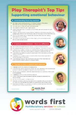 Play therapist’s top tips: Supporting emotional behaviour