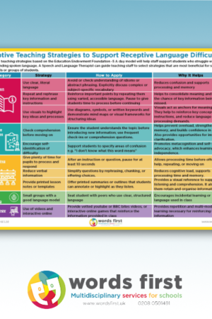 Adaptive Teaching Strategies to Support Receptive Language Difficulties